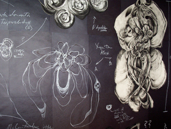 Diagrams, charcoal, chalk and pastel on paper, 2006 by Visiting Artist Sara Schneckloth Diagrams, charcoal, chalk and pastel on paper, 2006 by Visiting Artist Sara Schneckloth
